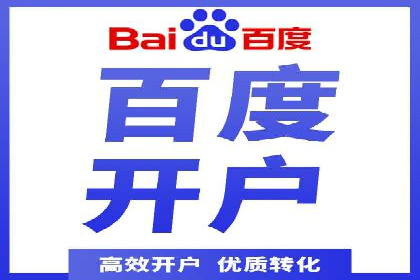 百度推广广告案例：快速抢占市场份额